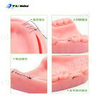 Silicone hechtingspraktijkpad drie modules tandheelkundige hechting en implantaten